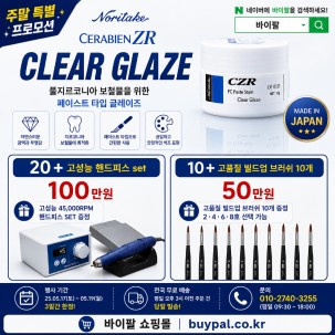 CZR FC 페이스트 스테인 클리어 글레이즈 (CZR FC Clear Glaze) [5g] [10+빌드업 브러쉬 10개]